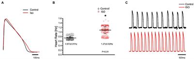 Autonomic Regulation of the Goldfish Intact Heart